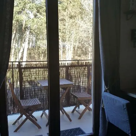 Apartament Sosnowy Daire Karwia